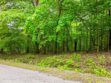 Two parcels, one incredible opportunity! Nestled in the - photo 1