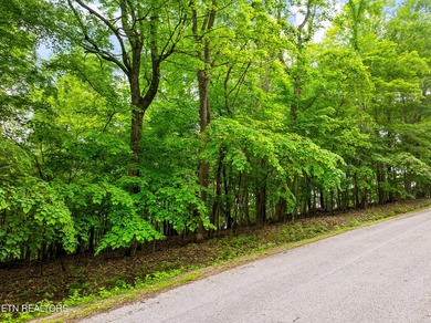 Two parcels, one incredible opportunity! Nestled in the - photo 2
