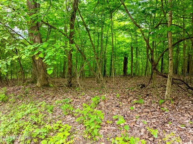 Two parcels, one incredible opportunity! Nestled in the - photo 3