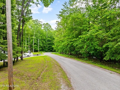 Two parcels, one incredible opportunity! Nestled in the - photo 5