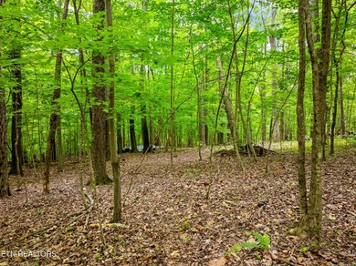 Two parcels, one incredible opportunity! Nestled in the - photo 7