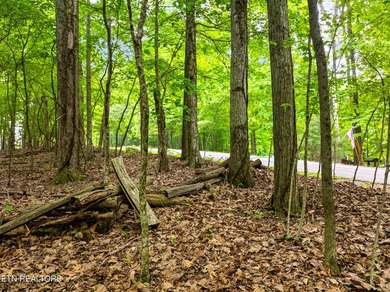Two parcels, one incredible opportunity! Nestled in the - photo 8