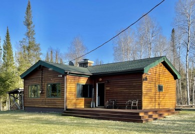 Lake Home For Sale in Grayling, Michigan