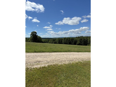 Welcome to 32 Leander Harmon Road! This home provides country - photo 19