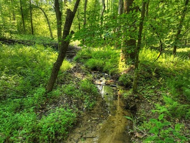4BR/3.5BA | Mountain Views | Creek Frontage | 2025 Built | 3.52 - photo 3