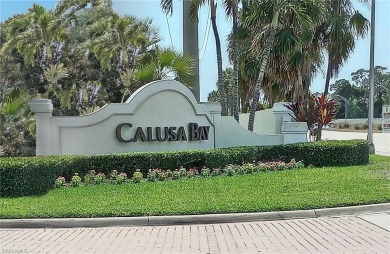 Lake Condo For Sale in Naples, Florida