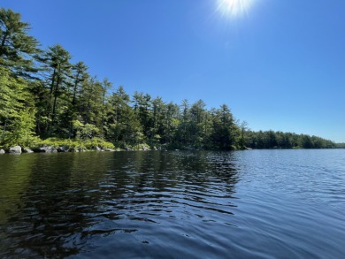 Lake Acreage For Sale in Orland, Maine
