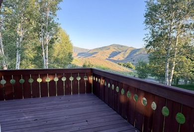 Elevated above Sun Valley, this stunning Austrian style retreat - photo 3