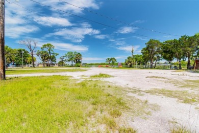 Legacy Property and location, South Pasco County, the only Port - photo 1