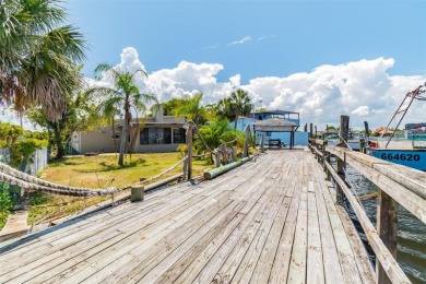 Legacy Property and location, South Pasco County, the only Port - photo 5