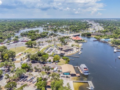 Legacy Property and location, South Pasco County, the only Port - photo 7