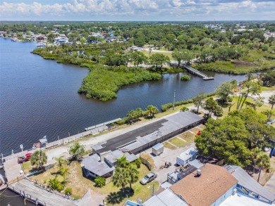 Legacy Property and location, South Pasco County, the only Port - photo 9