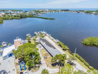 Legacy Property and location, South Pasco County, the only Port - photo 10