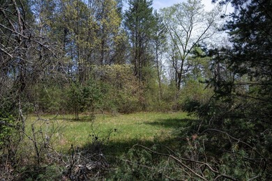 Seller financing available with only $5,000 down on this Copper - photo 33