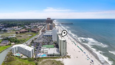 Sands Beach Club is one of Shore Drive's best kept oceanfront - photo 40