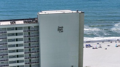 Sands Beach Club is one of Shore Drive's best kept oceanfront - photo 44