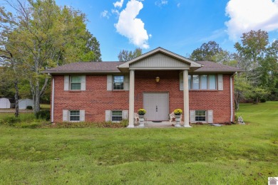 Lake Home For Sale in Benton, Kentucky