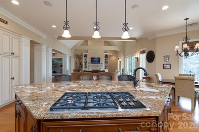 Magnificent lakefront retreat with private pier only an hour - photo 13