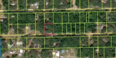 Lake Jumper Lot For Sale in Silver Springs Florida