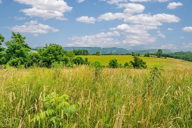 Experience a piece of American and West Virginia history with - photo 42