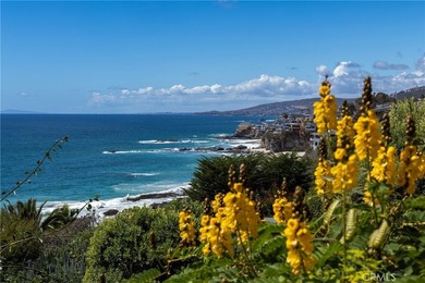 32229 Coast Hwy - photo 5