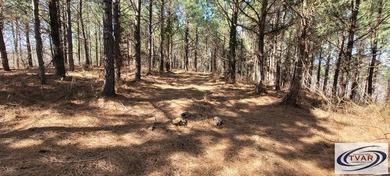 Great location for a weekend getaway or build your dream home on - photo 1