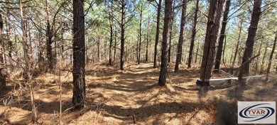 Great location for a weekend getaway or build your dream home on - photo 2