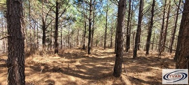 Great location for a weekend getaway or build your dream home on - photo 3