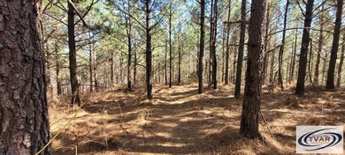 Great location for a weekend getaway or build your dream home on - photo 4
