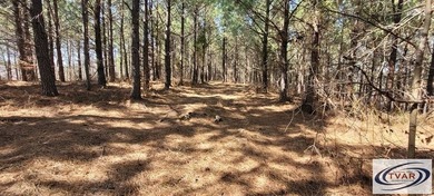 Great location for a weekend getaway or build your dream home on - photo 5