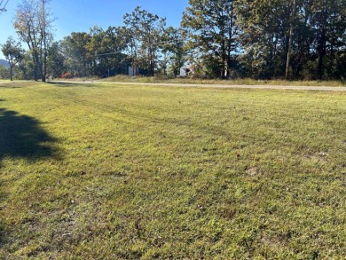 Diamond in the Rough River Property - photo 3