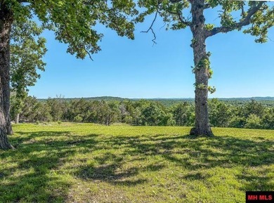 Tucked away in the beautiful Ozarks near Bull Shoals Lake, this - photo 5