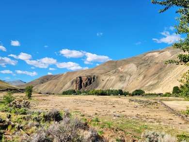 7.32 acre vacant lot with water rights, located up the East Fork - photo 2