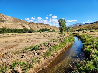 7.32 acre vacant lot with water rights, located up the East Fork - photo 3