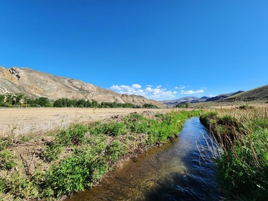 7.32 acre vacant lot with water rights, located up the East Fork - photo 4