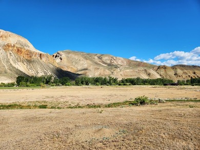 7.32 acre vacant lot with water rights, located up the East Fork - photo 8