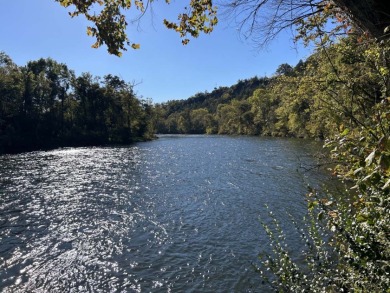 Diamond in the Rough River Property - photo 5