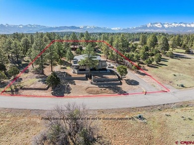 Mistalyn Kuzov, United Country Sneffels Realty, C:,,: Bring your - photo 1