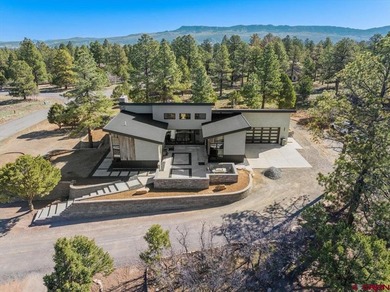 Mistalyn Kuzov, United Country Sneffels Realty, C:,,: Bring your - photo 2