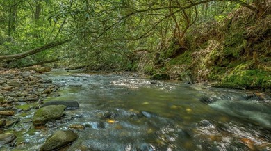 Water's Edge is the ideal blend of serene mountain escape and - photo 3