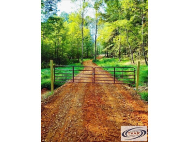 Kentucky Lake Acreage For Sale in Buchanan Tennessee