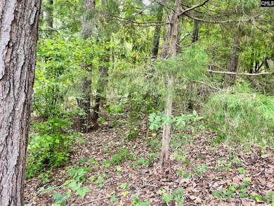 Lake Murray Lot For Sale in Leesville South Carolina