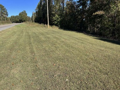 Diamond in the Rough River Property - photo 2
