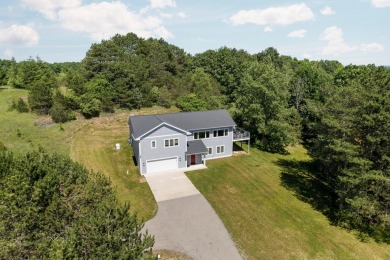 Lake Michigan - Manistee County Home For Sale in Arcadia Michigan