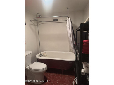 HISTORIC DOWNTOWN TREASURE|CIRCA 1875+/-. Step into a timeless - photo 21