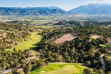 A rare, oversized private lot offers coveted walk-out access to - photo 50