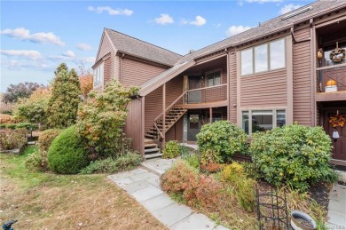 Lake Condo For Sale in Ossining, New York