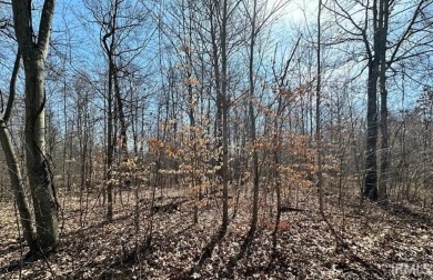 Patton Lake Lot For Sale in Martinsville Indiana