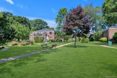 Lovely 2 Bedroom, 1 Bath First Floor Coop Apt in the Beautiful - photo 11