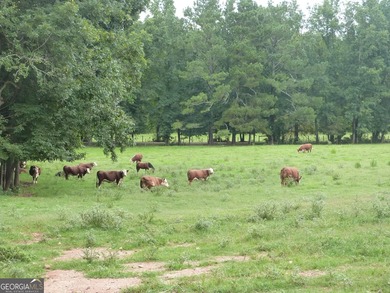 Hidden Gem in Walton County. Beautiful 124 Acre Cattle Farm (5 - photo 22